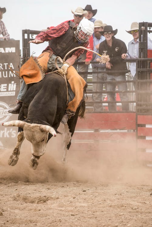 Events 1 Omak Stampede bull ride
