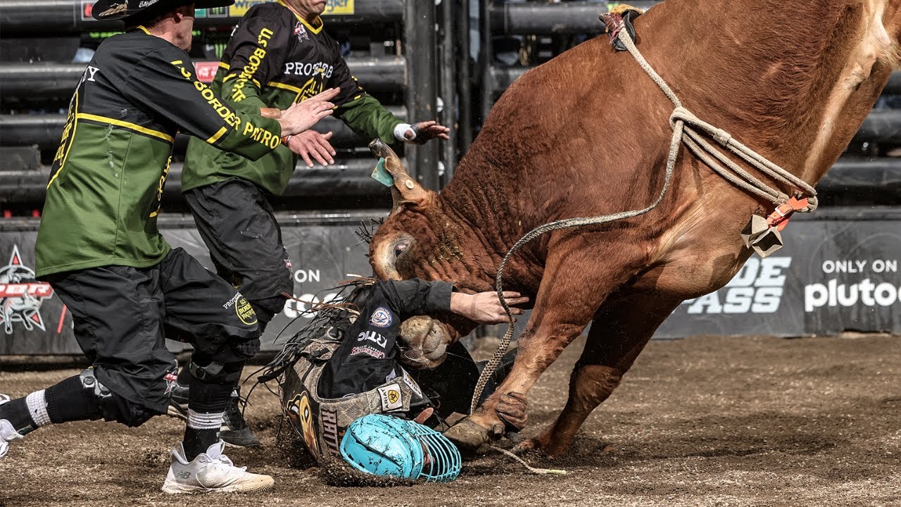 About 2 Bull Force - Omak Stampede