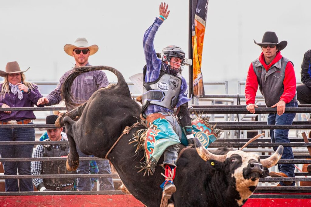 What Happens During Bull Riding?