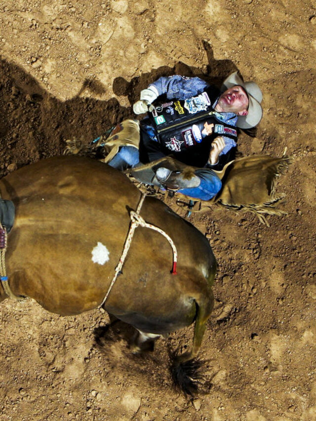 Bull Riding Accidents: The Shocking Truth Behind 8 Seconds of Danger | Omak Stampede