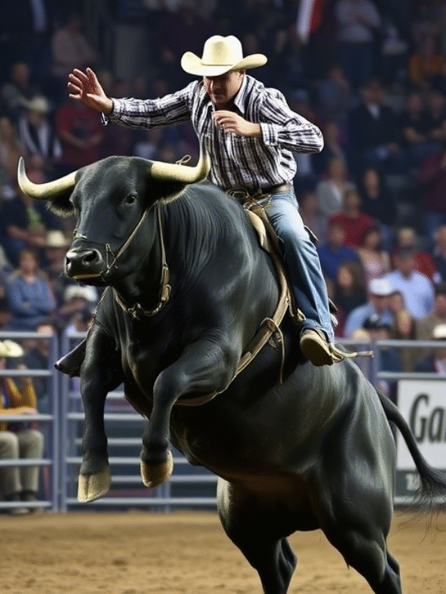 Can You Use 2 Hands in Bull Riding?  | Omak Stampede