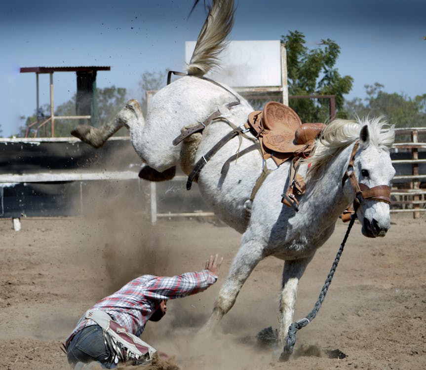 Bull Dogging or Steer Wrestling