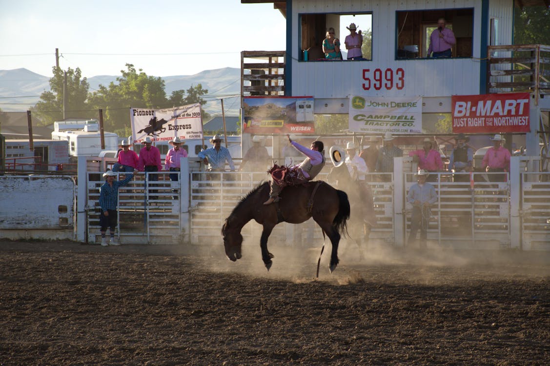 Saddle Bronc Riding Omake Stampede