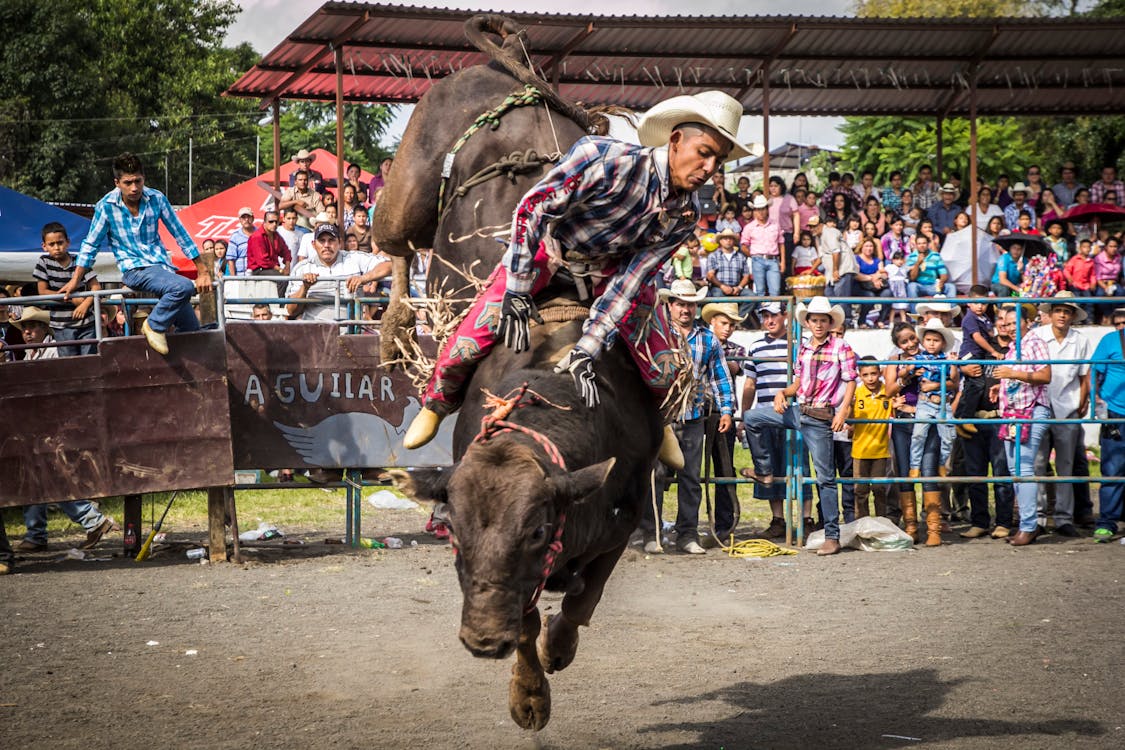 Tie-Down Riding