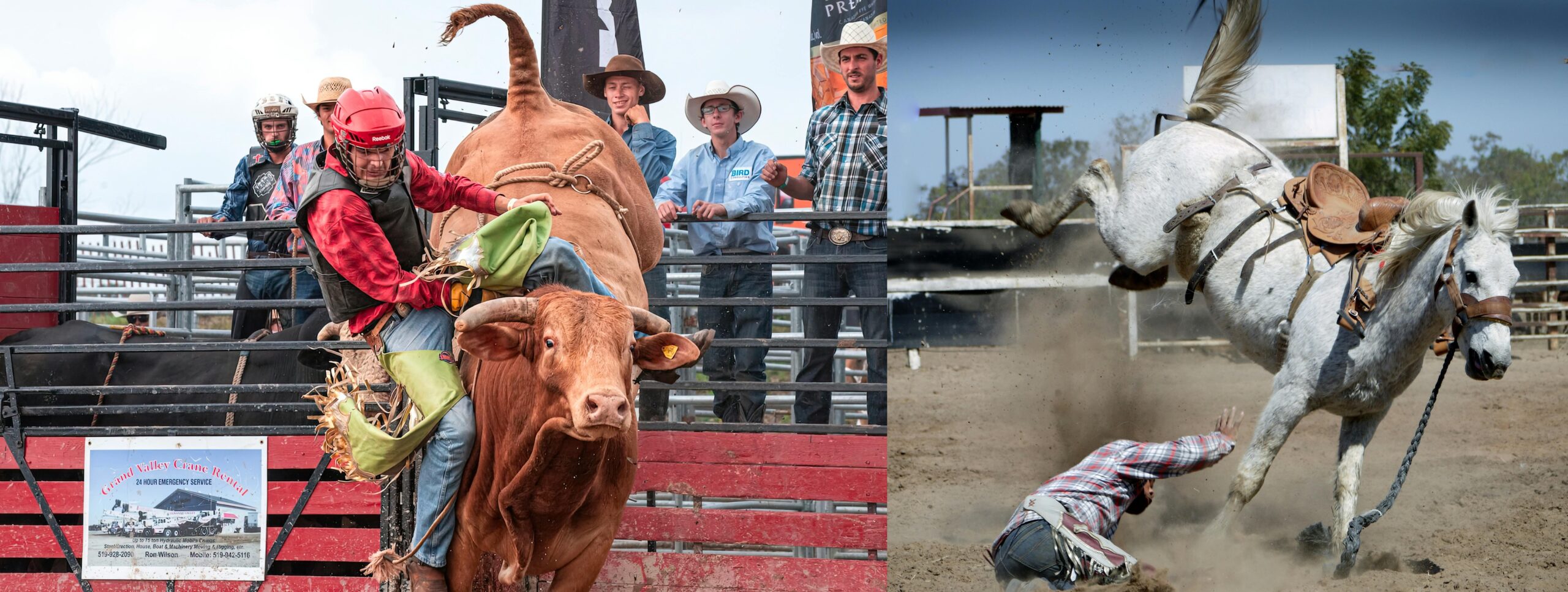 Is bull riding the same as rodeo?