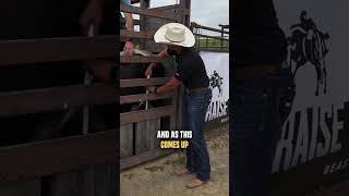 How To Put A Bull Flank On The Right Way