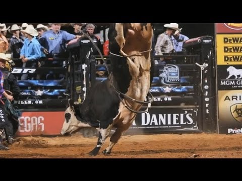 the truth about the flank strap and how it's used in bull riding