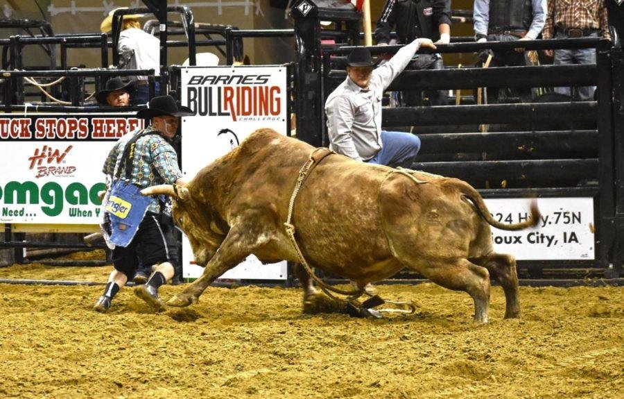 What Do You Call A Rodeo Rider? 5 Bullfighters The Unsung Heroes-omake stampede
