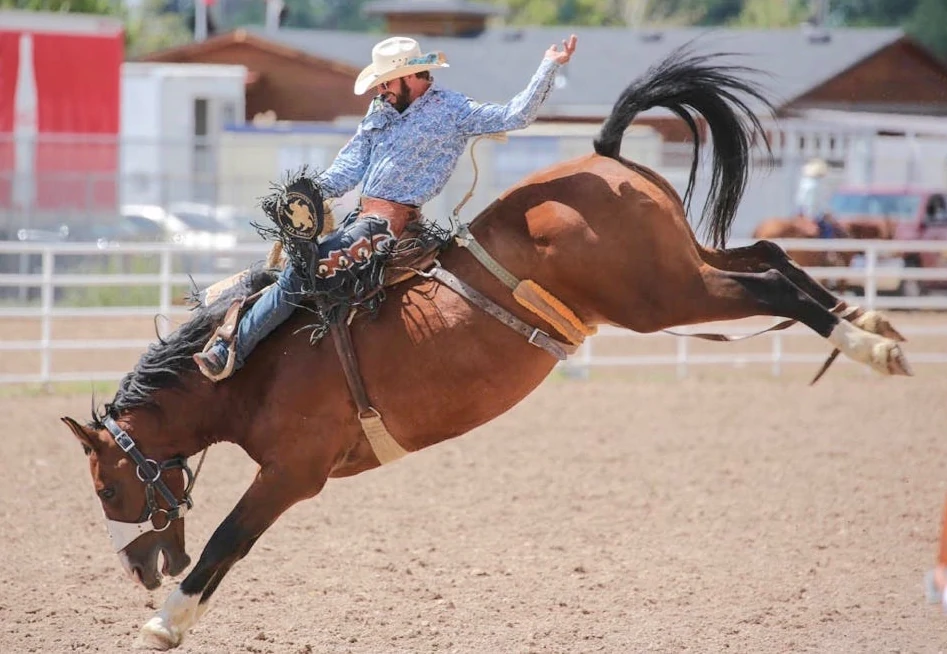What Are All The Events In A Rodeo? 8 Rodeo Events Explained 6 Saddle bronc riding roughstock