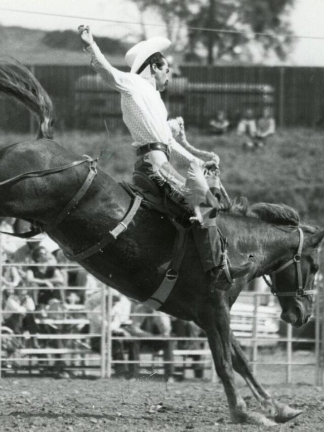 Home 2 27 What is the Oldest Event in Rodeo? | Omak Stampede