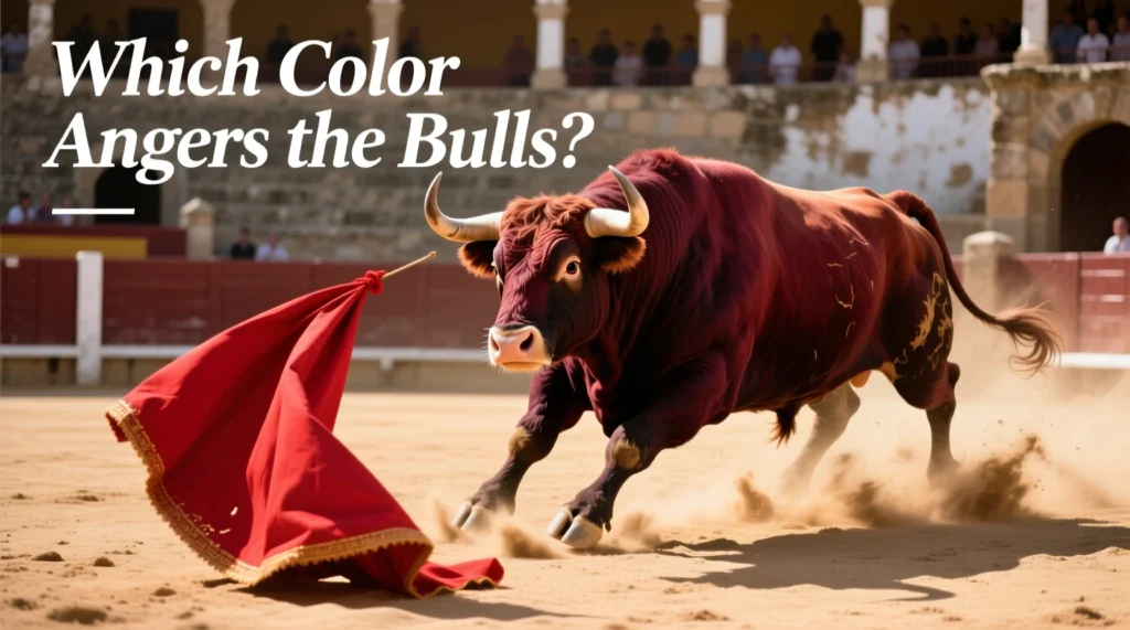 Which Color Angers the Bulls? 6 Which Color Angers the Bulls?