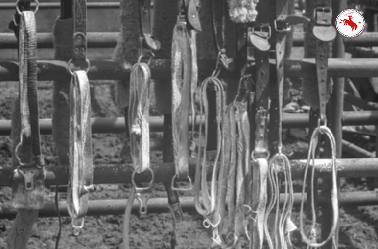 20th century flank strap