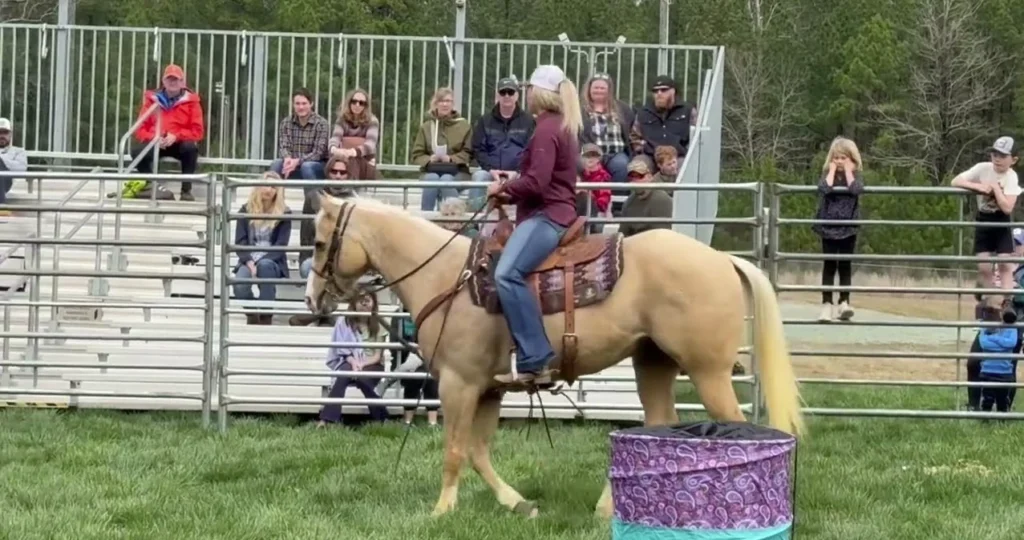 How Do You Win In Barrel Racing? 3 Basics of barrel racing