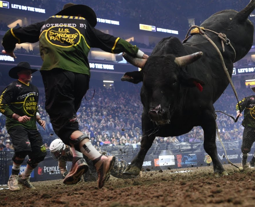Bull Fighter top saves