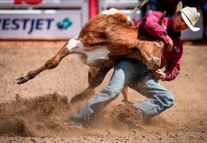 What Do You Call A Rodeo Rider? 4 Hazer Omak Stampede